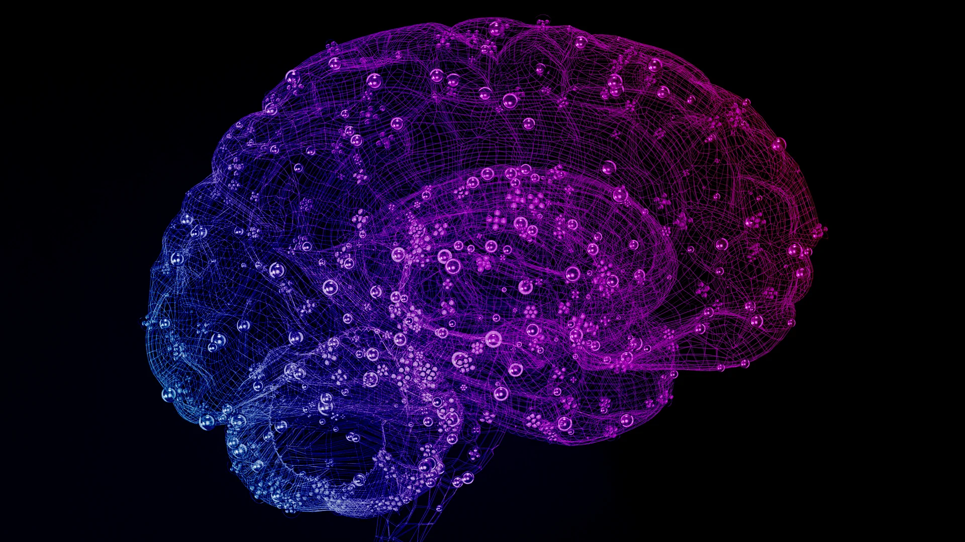 AI Solutions for HoReCa Development