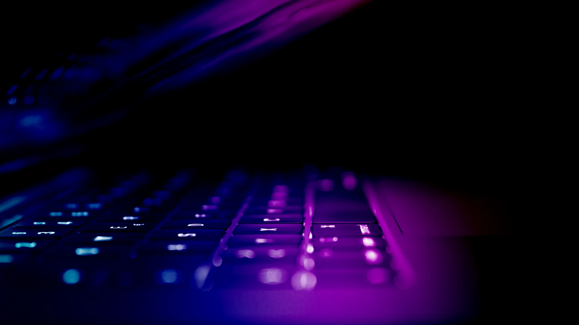 Professional Dark Web Monitoring Services